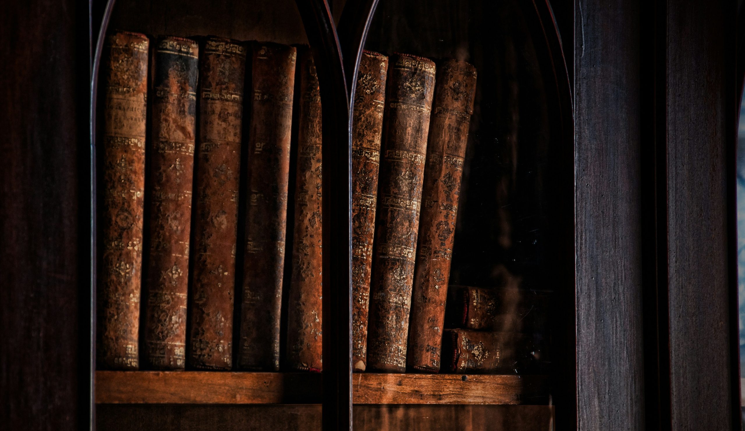 jeff-smith-f_IGFcYncfQ-unsplash